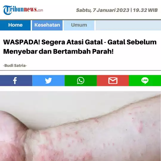 ezgif.com-webp-maker-31.webp
